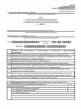 Годовой отчет 2014 года в Минюст РФ (часть 1)