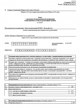 Годовой отчет 2020 года в Минюст РФ (часть 1)