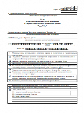 Годовой отчет 2011 года в Минюст РФ (часть 1)