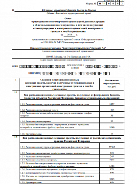 Годовой отчет 2016 года в Минюст РФ (часть 2)