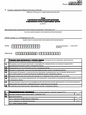 Годовой отчет 2012 года в Минюст РФ (часть 1)