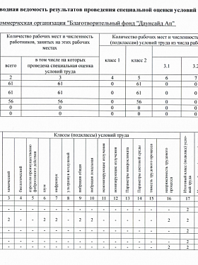 Сводная ведомость результатов проведения специальной оценки условий труда