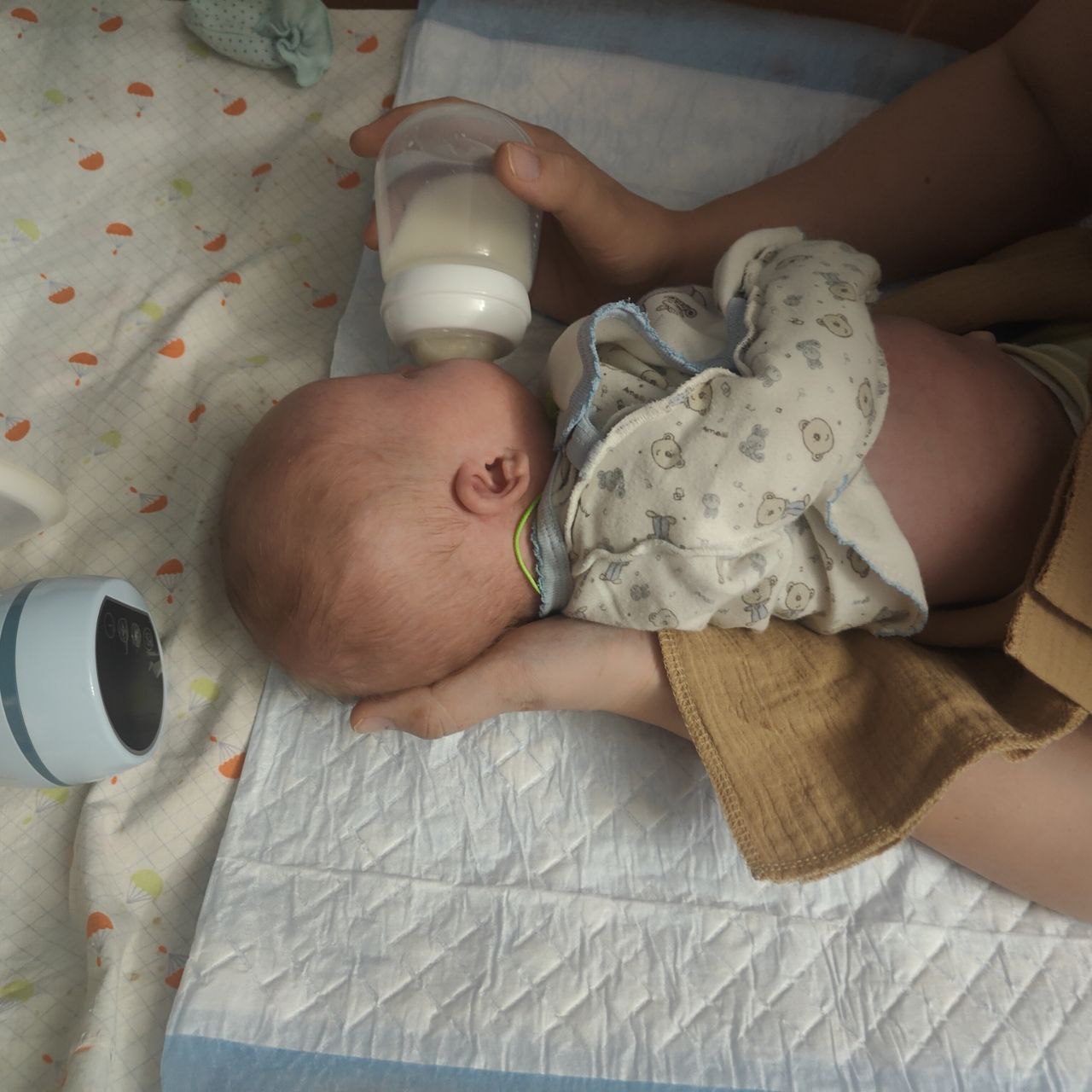 фото кормления