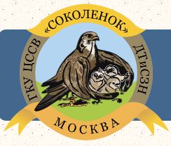 Центр содействия семейному воспитанию «Соколенок»