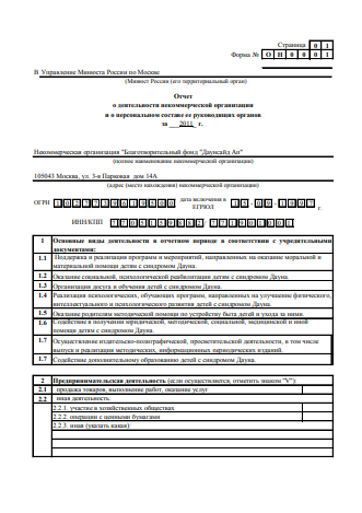 Годовой отчет 2011 года в Минюст РФ (часть 1)