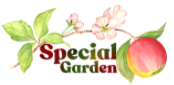 Центр комплексной реабилитации особенных детей и их семей "Special Garden"