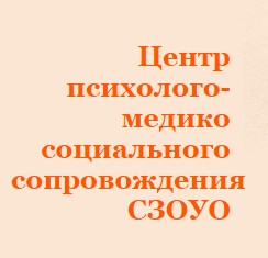 Центр психолого-медико-социального сопровождения «МиР»