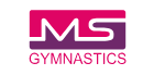 Сеть профессиональных гимнастических центров Madness Gymnastics ("МЭДНЕСС" Москва)