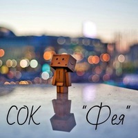 СОК "Фея"