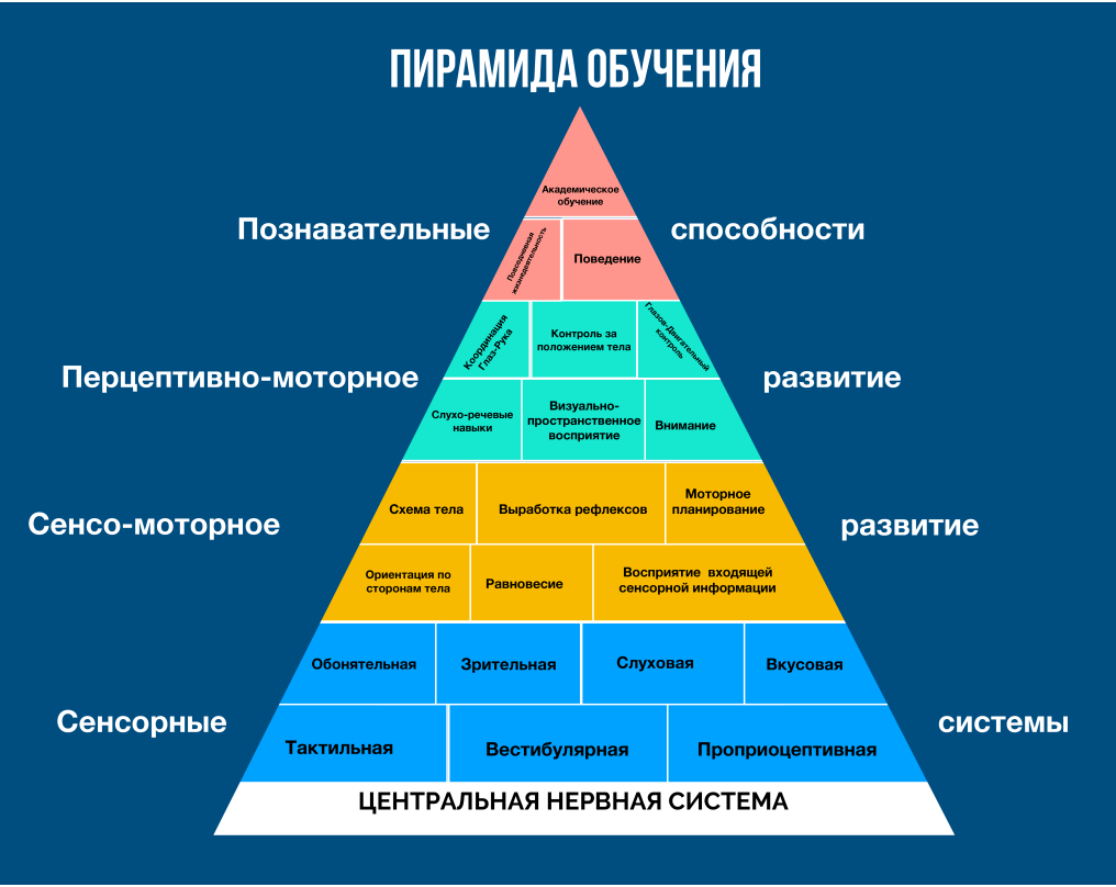 СИ рис 1.PNG