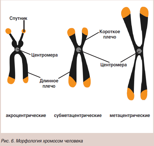 Рисунок6(1).png