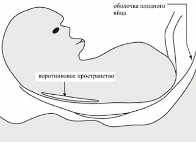 Запишитесь на консультацию