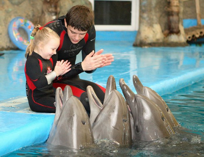 Дети с синдром дауна с дельфинами