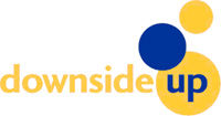 dsu_logo.jpg