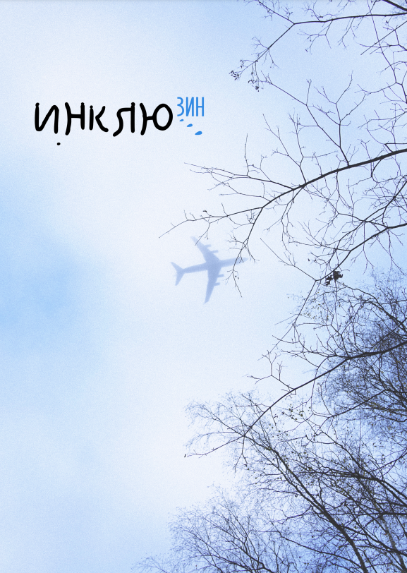 Инклюзин.png