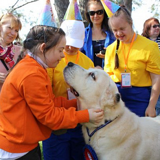 Человек – собаке друг!