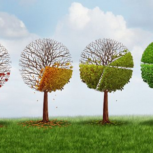 Ситуация с услугами для детей с синдромом Дауна в Москве: итоги опроса