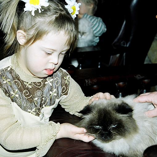 Спектакль в Театре кошек Куклачева 2004
