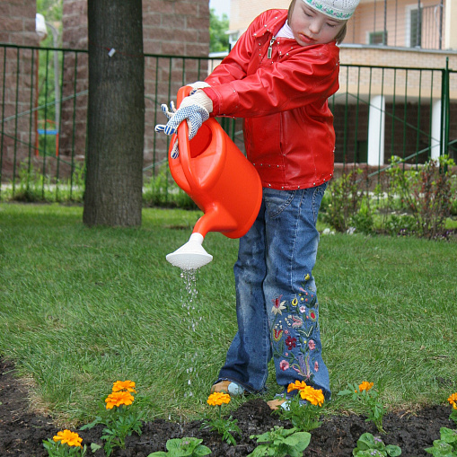 Переезд Даунсайд Ап  в новое здание 2006