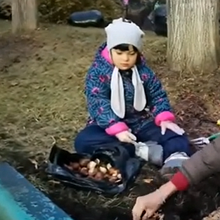 Группа "Адаптация к школе детей 7-12 лет" сажает тюльпаны в фонде Даунсайд Ап Группа "Адаптация к школе детей 7-12 лет" сажает тюльпаны в фонде Даунсайд Ап