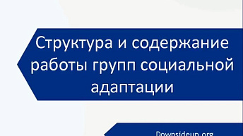 Запись вебинара "Структура и содержание работы группы социальной адаптации" 2023.04.27