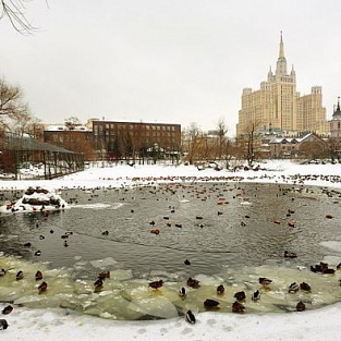 Московский зоопарк приглашает на бесплатные экскурсии Московский зоопарк приглашает на бесплатные экскурсии