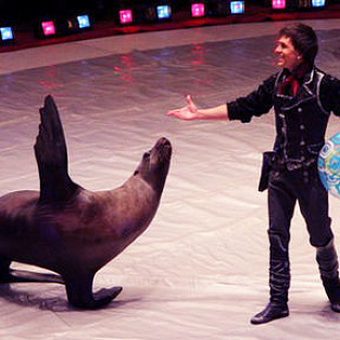 В Московском цирке прошла отрытая репетиция для детей с синдромом Дауна