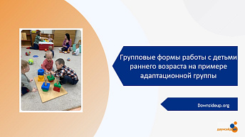 Запись вебинара "Групповые формы работы с детьми раннего возраста на примере адаптационной группы" 2023.11.09