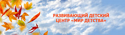 Развивающий Детский центр "Мир Детства"