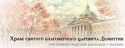 Православный Свято-Димитриевский детский центр