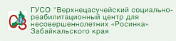 Социально-реабилитационный центр для несовершеннолетних «Росинка»   