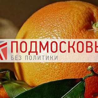 «Подмосковье без политики» поддерживает благотворительную акцию «Мы дарили апельсин» «Подмосковье без политики» поддерживает благотворительную акцию «Мы дарили апельсин»