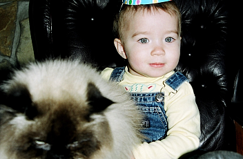 Спектакль в Театре кошек Куклачева 2004