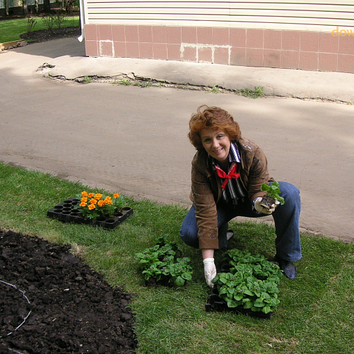 Переезд Даунсайд Ап  в новое здание 2006