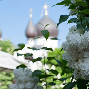 Благотворительный праздник «Белый цветок» прошел в Марфо-Мариинской обители Благотворительный праздник «Белый цветок» прошел в Марфо-Мариинской обители