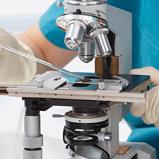 Генетик назвал причины роста числа людей с синдромом Дауна