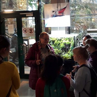 Тропический лес среди зимы