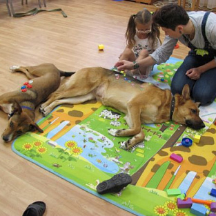 В Петрозаводске появится сенсорная комната для занятий с особыми детьми