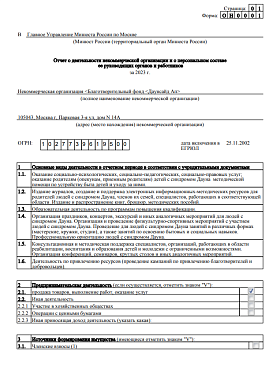 Годовой отчет 2023 года в Минюст РФ (часть 1)