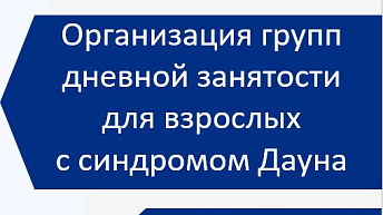 Запись вебинара "Организация и проведение занятий для взрослых с синдромом Дауна" 2023.06.16
